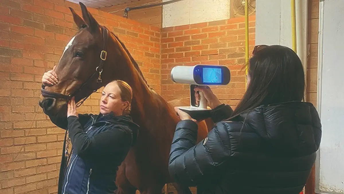 Case Study Artec 3D 3D-Scannen von Pferden in Bewegung mit Artec 3D