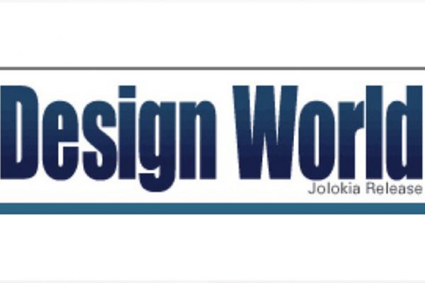 Design World LOGO groß